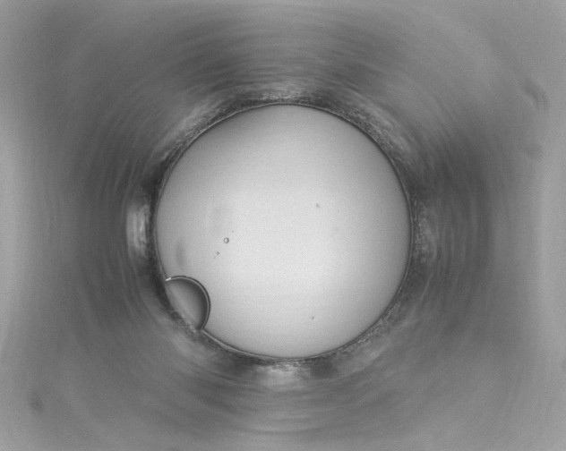 X0000115560118200911201830