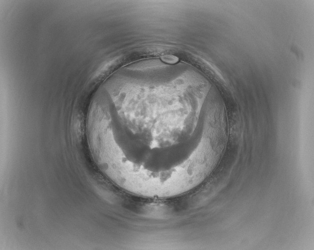 X0000115560119200911201830