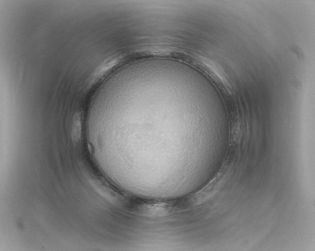 X0000115560120200911201830