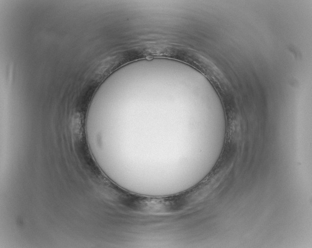 X0000115560121200911201830