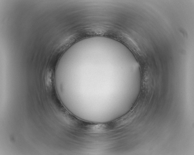 X0000115560122200911201830