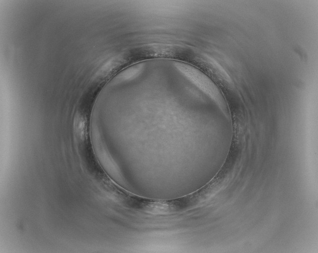 X0000115560123200911201830