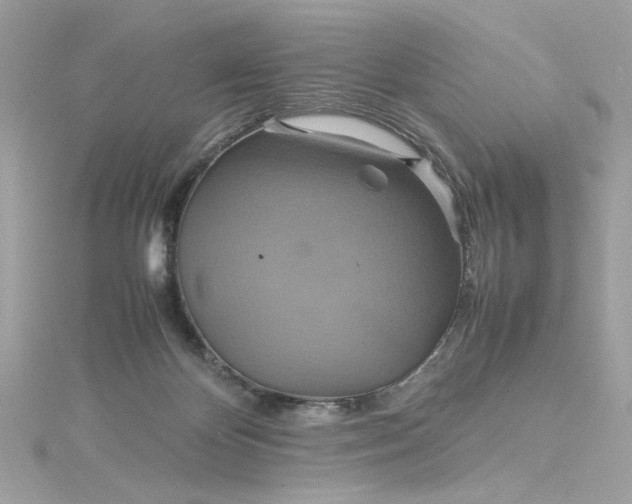 X0000115560124200911201830