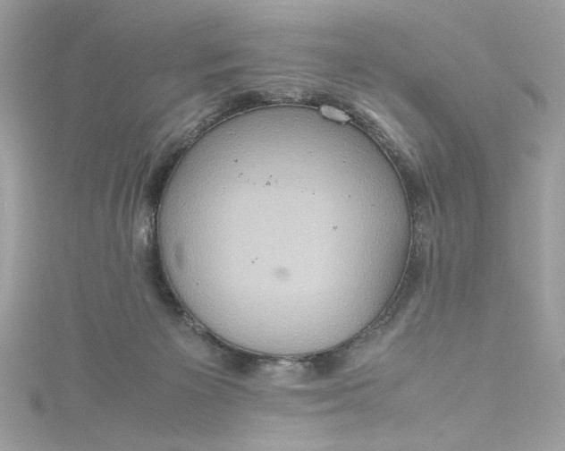 X0000115560125200911201830