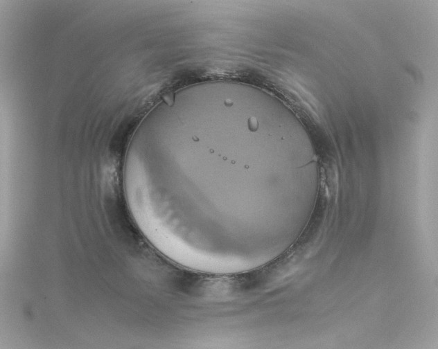 X0000115560127200911201830