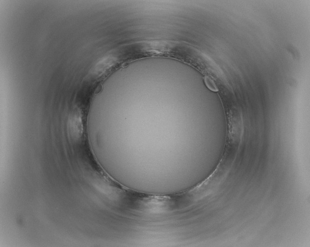 X0000115560128200911201830