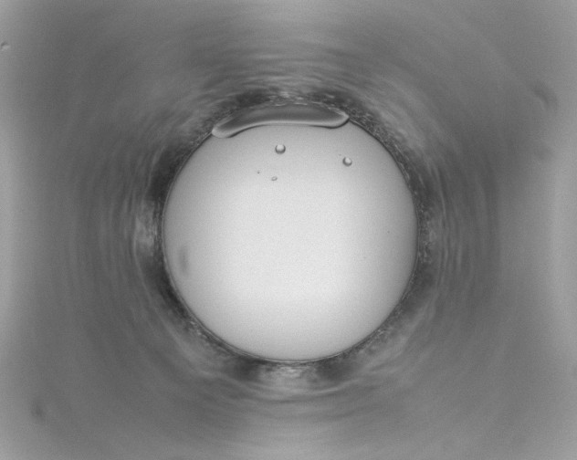 X0000115560129200911201830