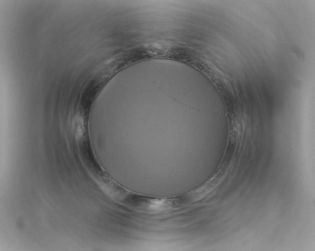 X0000115560130200911201830