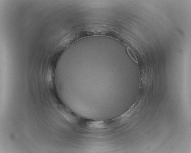 X0000115560132200911201830