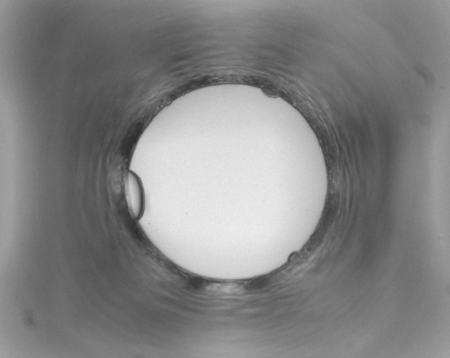 X0000115560133200911201830