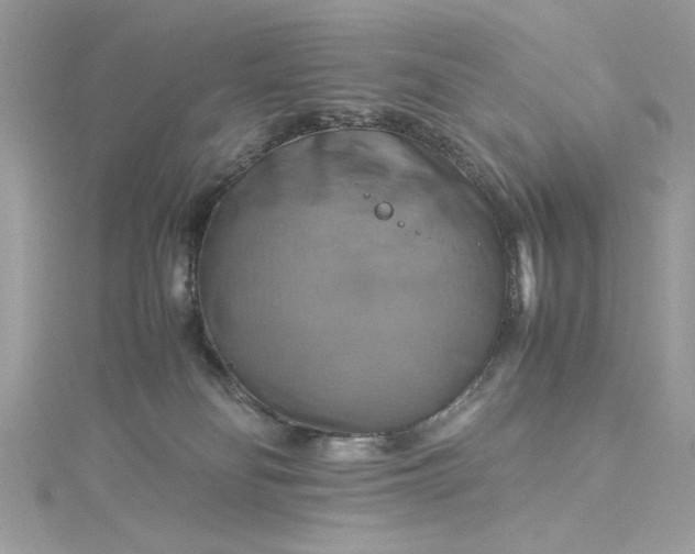 X0000115560134200911201830