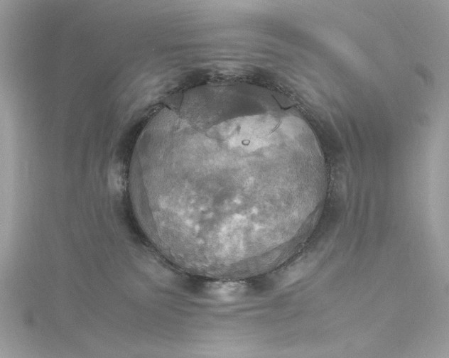 X0000115560135200911201830