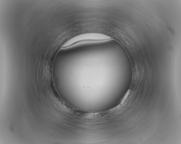 X0000115560136200911201830