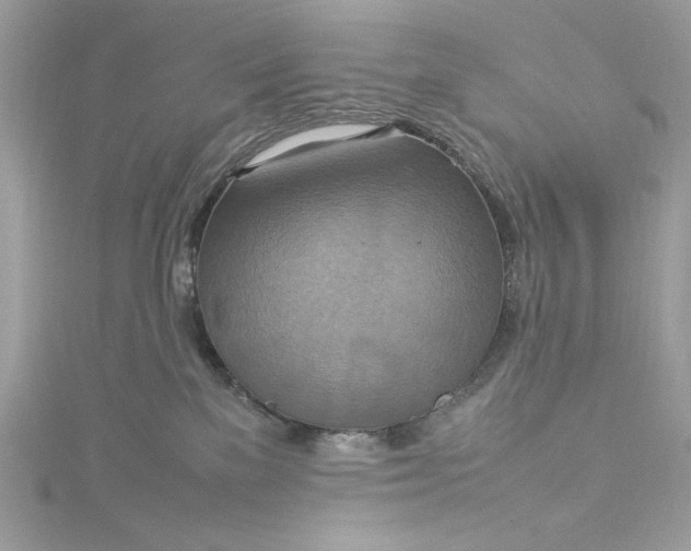 X0000115560137200911201830