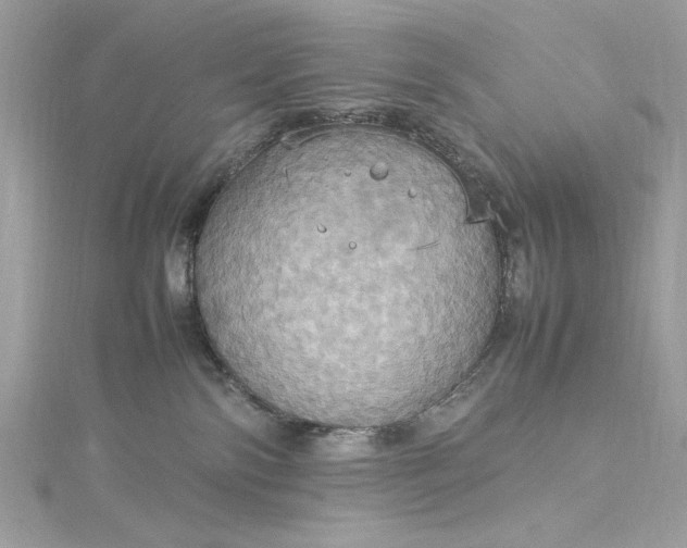 X0000115560138200911201830