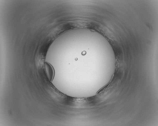 X0000115560141200911201830