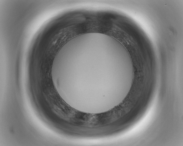 X0000115560143200911201830