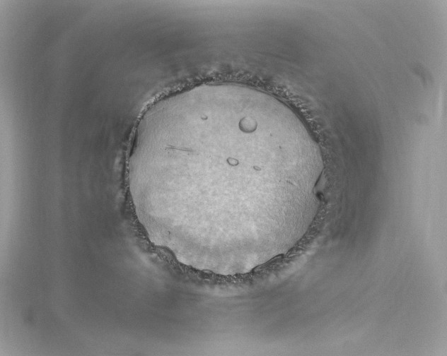 X0000115560144200911201830