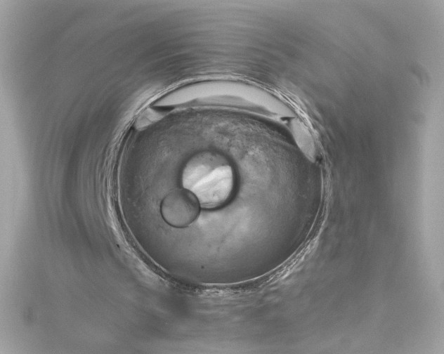 X0000115560145200911201829