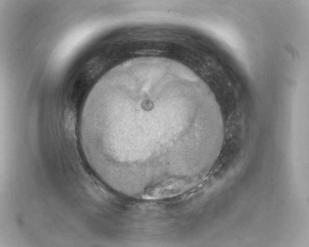 X0000115560146200911201829