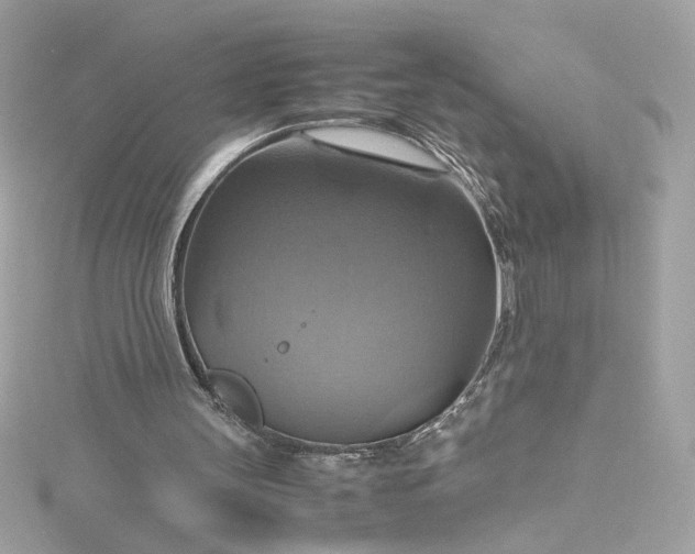 X0000115560147200911201829