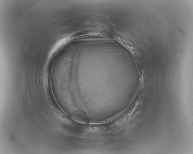 X0000115560149200911201829