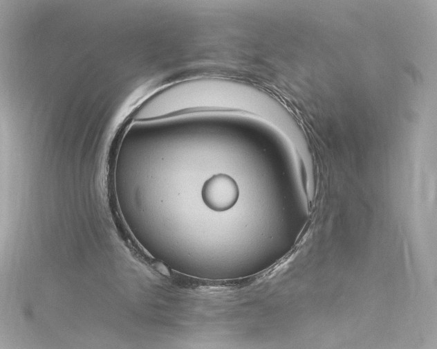 X0000115560150200911201829