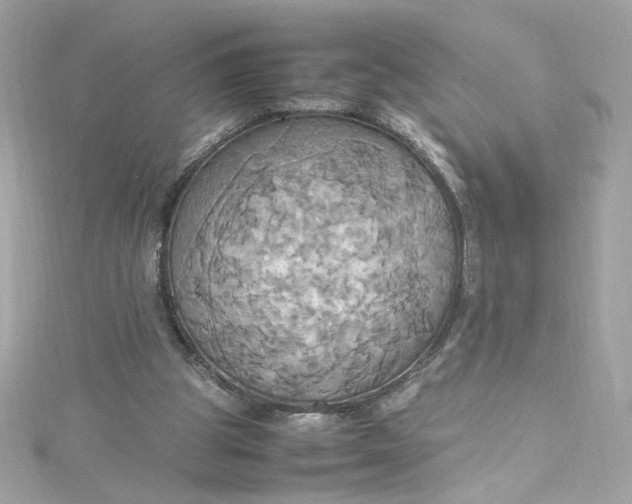 X0000115560153200911201829