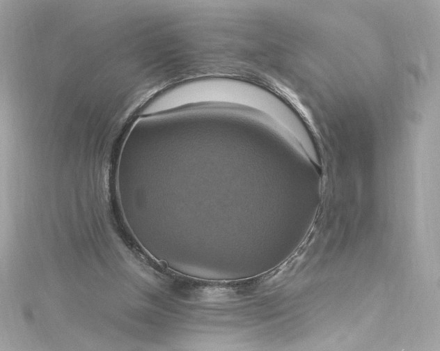 X0000115560154200911201829