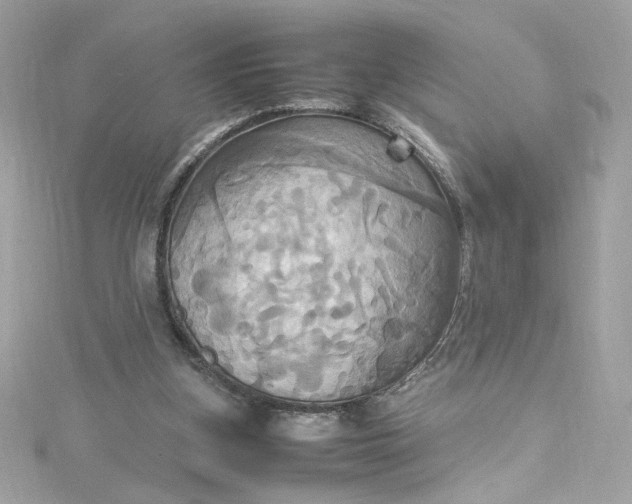 X0000115560155200911201829