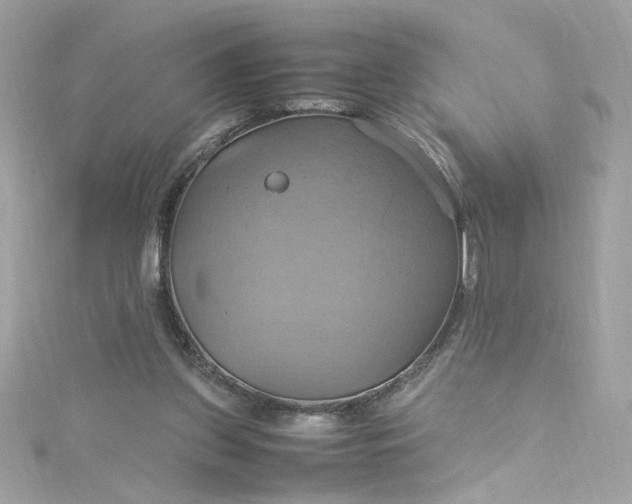 X0000115560157200911201829