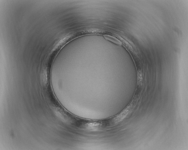 X0000115560158200911201829