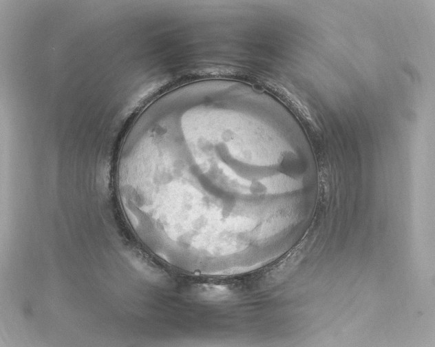 X0000115560159200911201829