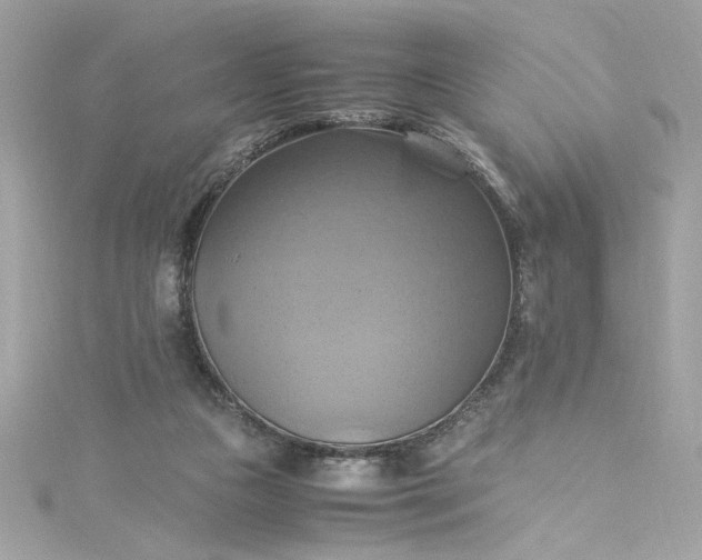 X0000115560161200911201829