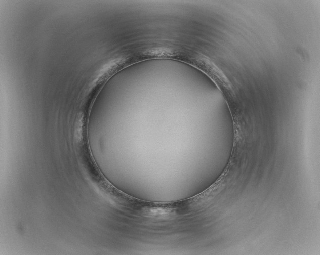 X0000115560163200911201829