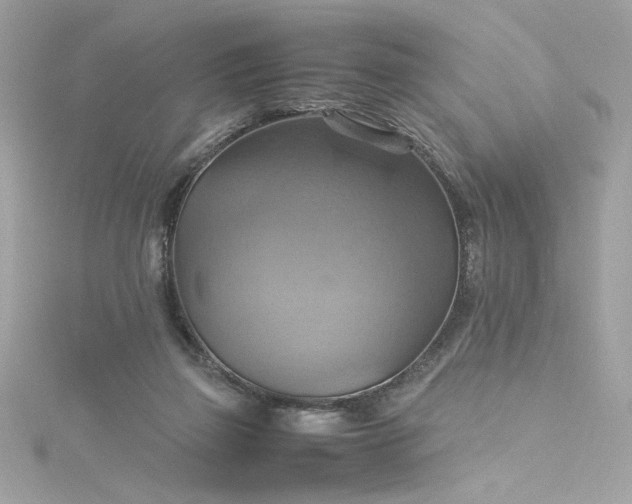 X0000115560165200911201830