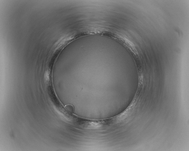 X0000115560166200911201830