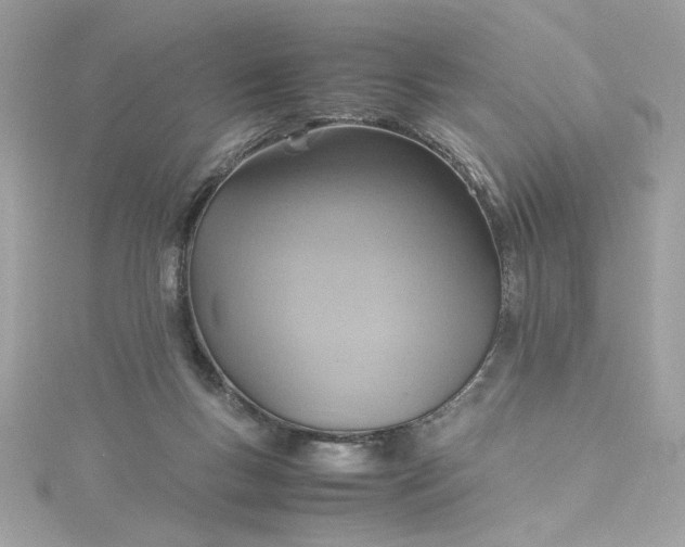 X0000115560167200911201830