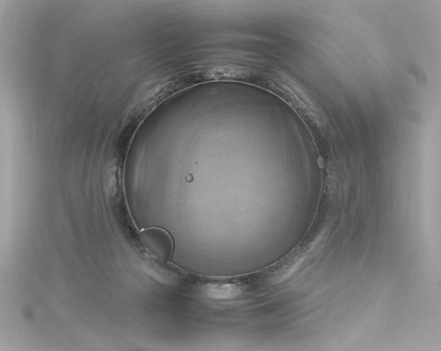 X0000115560169200911201830