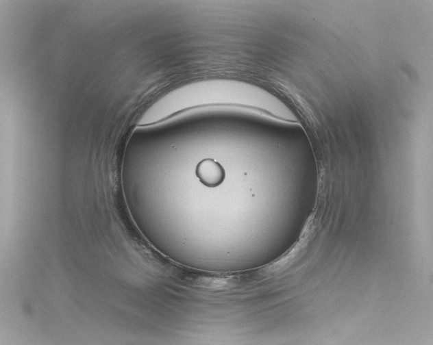 X0000115560170200911201830