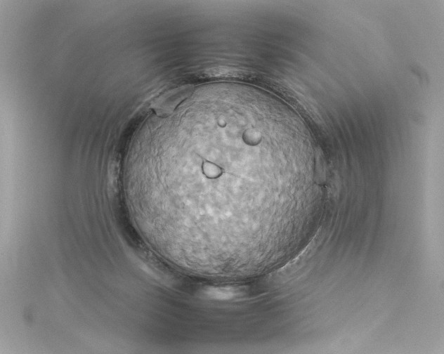 X0000115560171200911201830