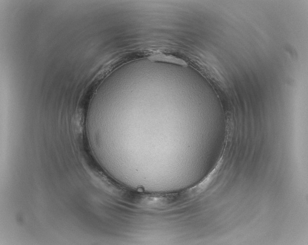 X0000115560174200911201830