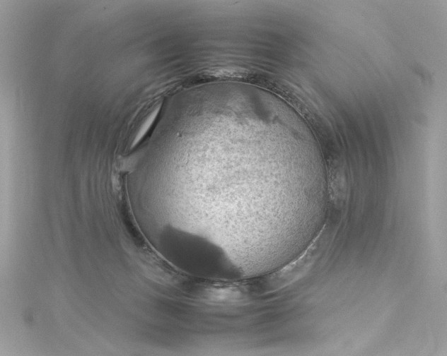 X0000115560175200911201830