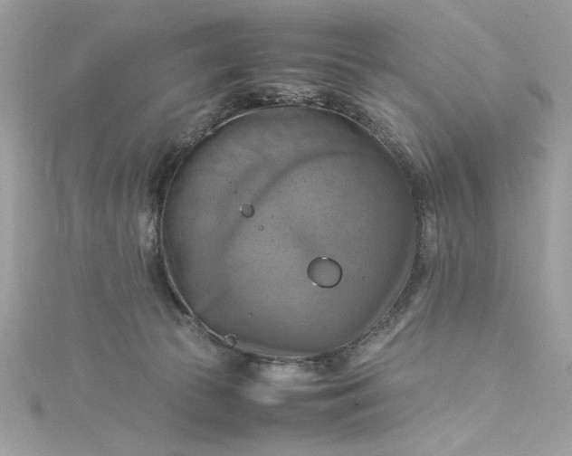 X0000115560177200911201830