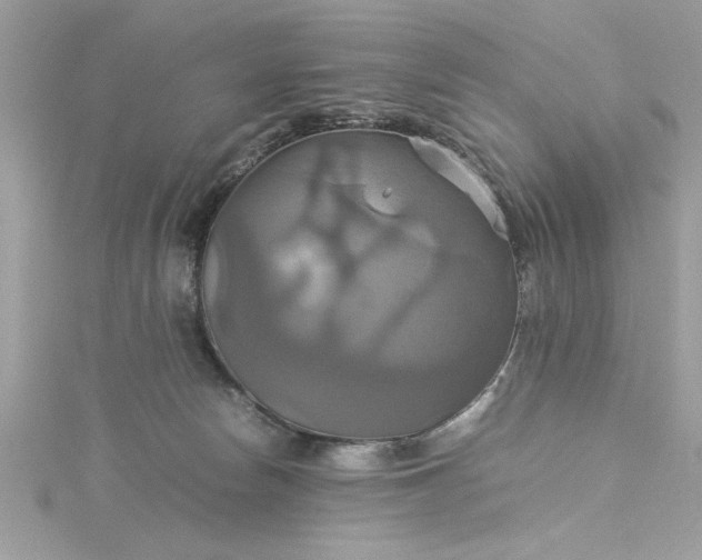 X0000115560178200911201830