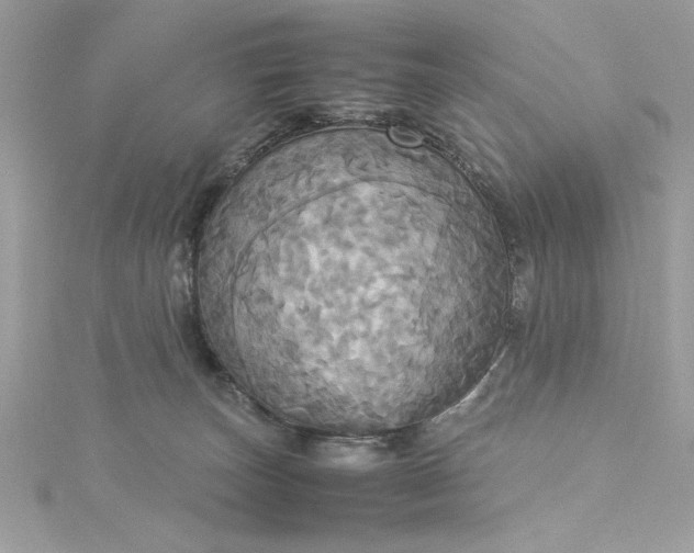 X0000115560179200911201830