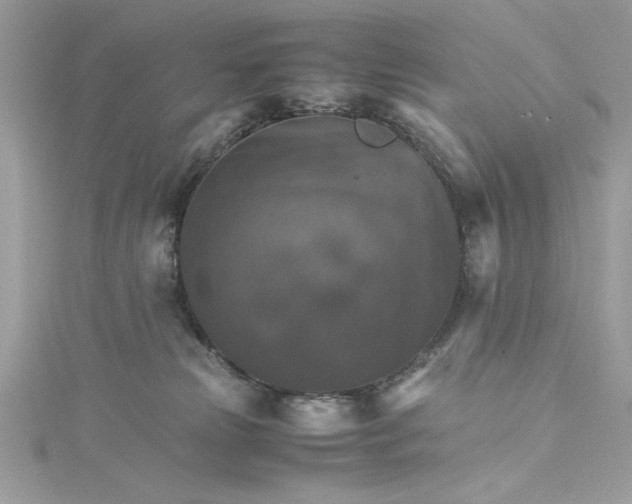 X0000115560181200911201830