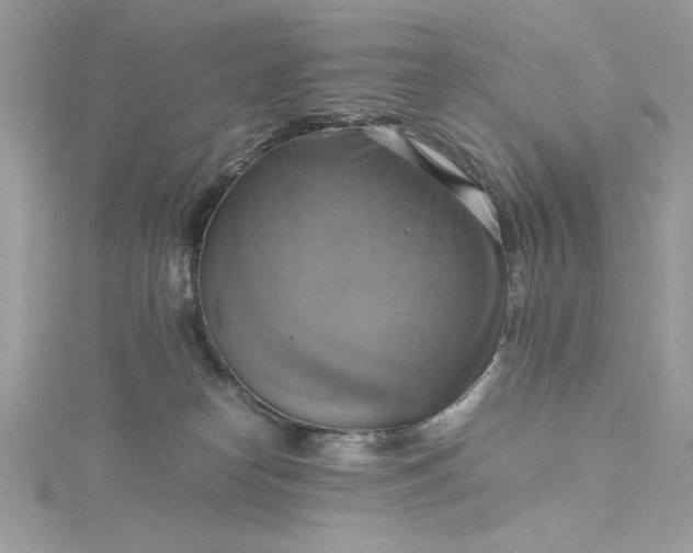 X0000115560182200911201830