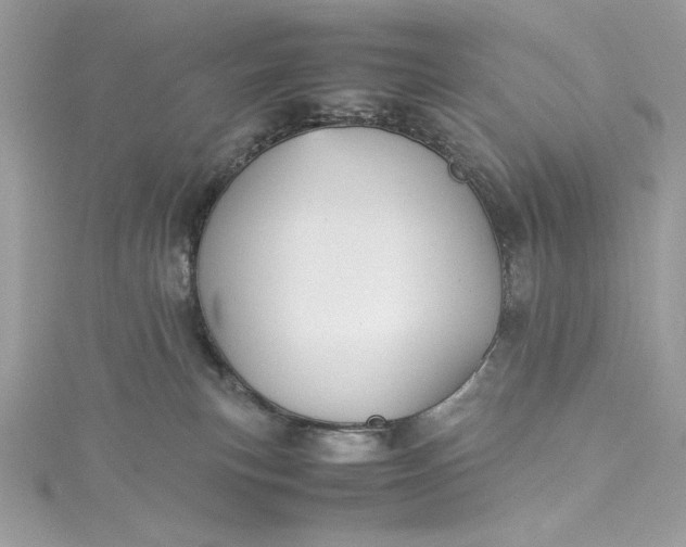 X0000115560183200911201830