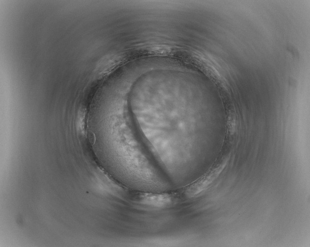 X0000115560185200911201830